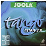 タンゴ TITAN 3.0（JOOLA）