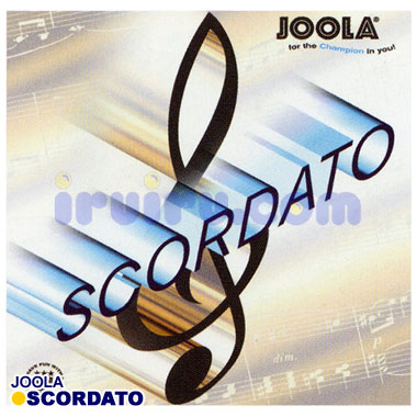 JOOLA/スコルダート JOOLA/スコルダート